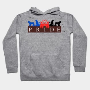 Poly Lion Pride 2 Hoodie